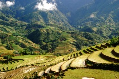 sapa